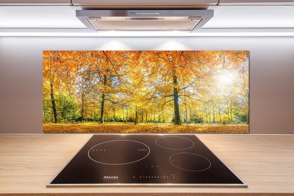 Dekorační panel sklo Podzimní les pksh-70578437