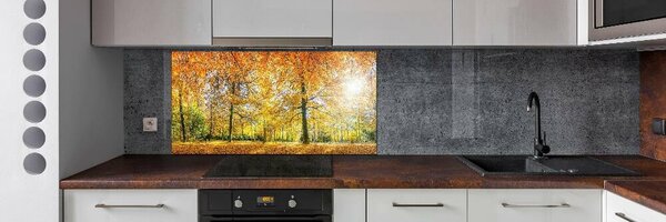 Dekorační panel sklo Podzimní les pksh-70578437