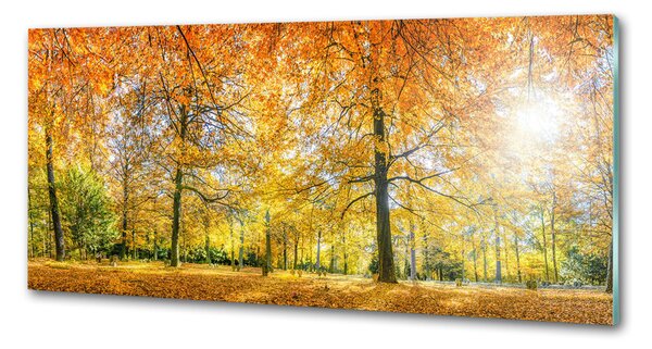 Dekorační panel sklo Podzimní les pksh-70578437