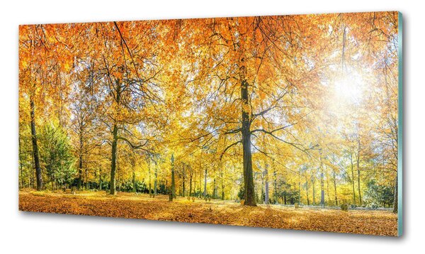 Dekorační panel sklo Podzimní les pksh-70578437