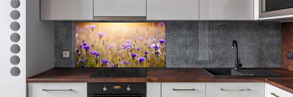 Dekorační panel sklo Plolní květiny pksh-70602610