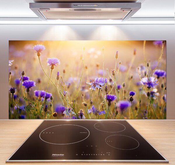 Dekorační panel sklo Plolní květiny pksh-70602610