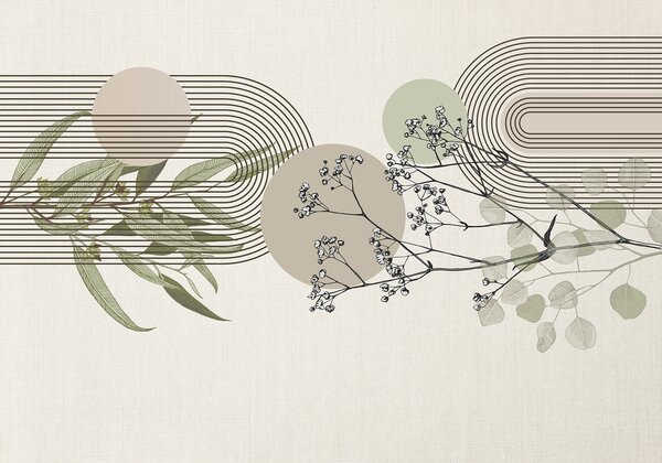 Fototapeta Botanický design s abstraktními prvky, Přírodní fototapety, Populární fototapety, w07979 - Tapeko.co.cz