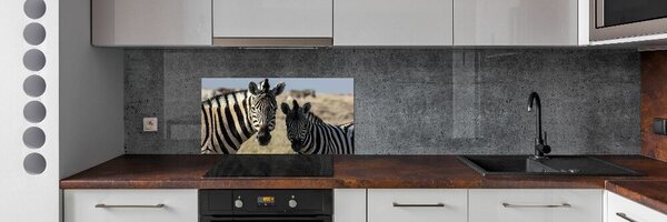 Dekorační panel sklo Dvě zebry pksh-70684470