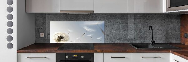 Dekorační panel sklo Pampeliška pksh-7095311