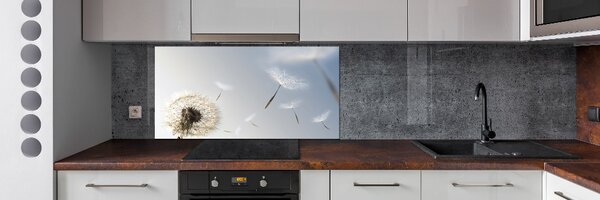 Dekorační panel sklo Pampeliška pksh-7095311