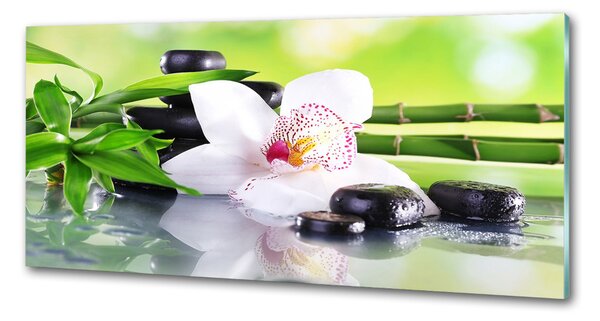 Skleněný panel do kuchynské linky Orchidej pksh-71100540