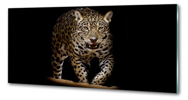Skleněný panel do kuchyně Jaguál pksh-71556052