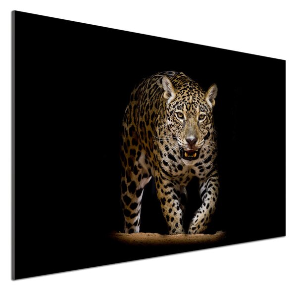 Skleněný panel do kuchyně Jaguál pksh-71556052