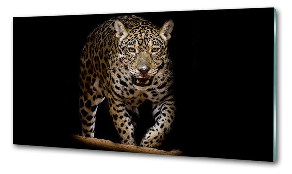 Skleněný panel do kuchyně Jaguál pksh-71556052