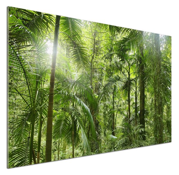 Panel do kuchyně Tropický les pksh-72098525