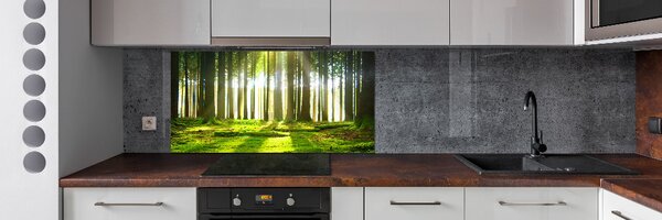 Dekorační panel sklo Les slunce pksh-72227147