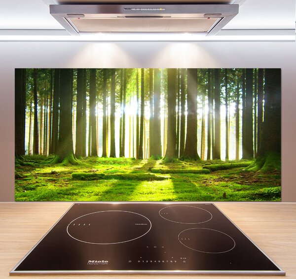 Dekorační panel sklo Les slunce pksh-72227147