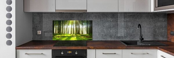 Dekorační panel sklo Les slunce pksh-72227147