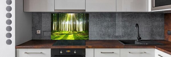 Dekorační panel sklo Les slunce pksh-72227147