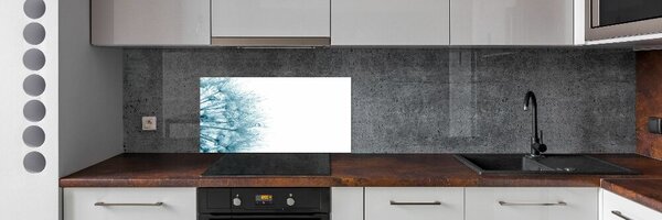 Dekorační panel sklo Pampeliška pksh-72318363