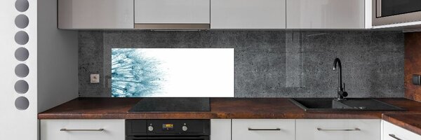 Dekorační panel sklo Pampeliška pksh-72318363