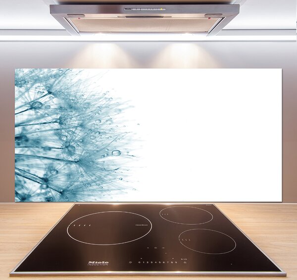 Dekorační panel sklo Pampeliška pksh-72318363
