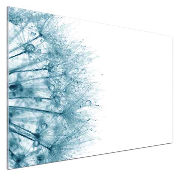 Dekorační panel sklo Pampeliška pksh-72318363