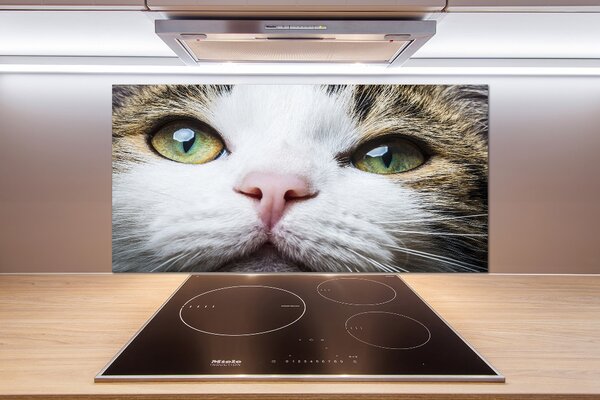 Panel do kuchyně Zelené kočičí oči pksh-72425776
