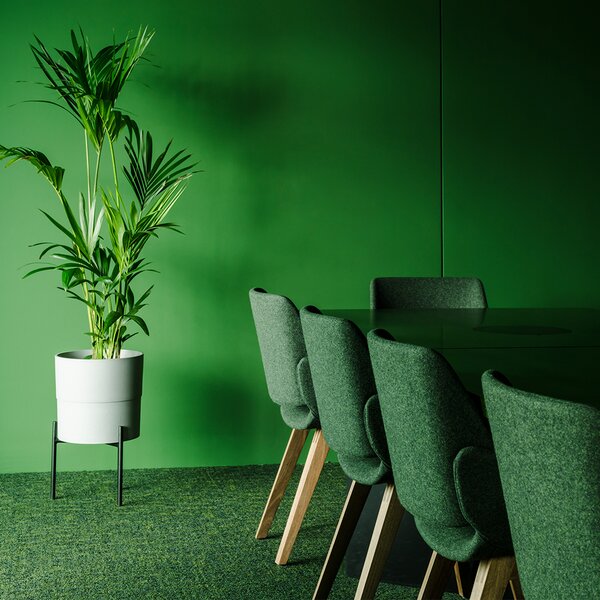 Designové židle Monk Wood Base Armchair