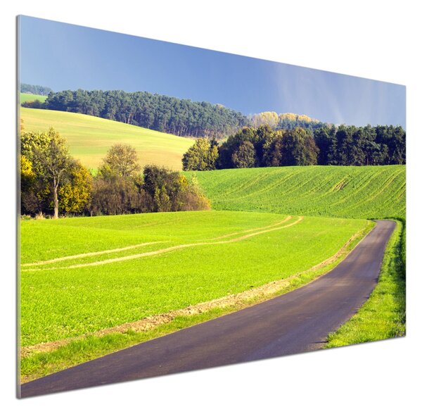 Dekorační panel sklo Plní cesta pksh-72725043