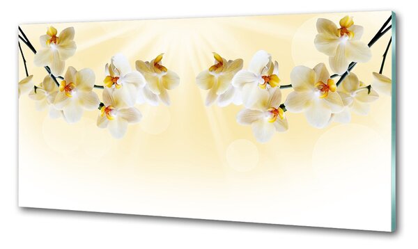 Skleněný panel do kuchynské linky Orchidej pksh-72852358