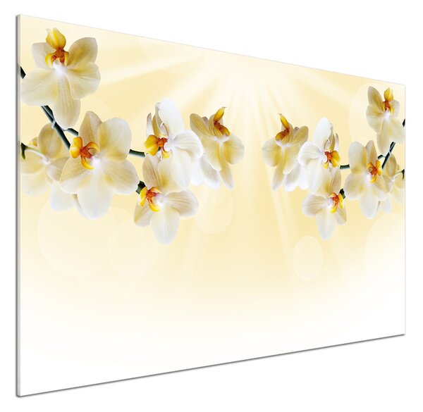 Skleněný panel do kuchynské linky Orchidej pksh-72852358