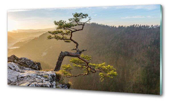 Panel do kuchyně Sokolice Pieniny pksh-73236563