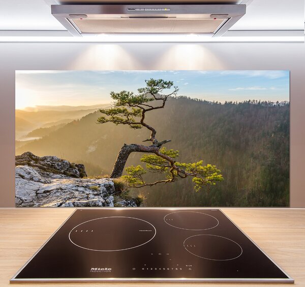 Panel do kuchyně Sokolice Pieniny pksh-73236563