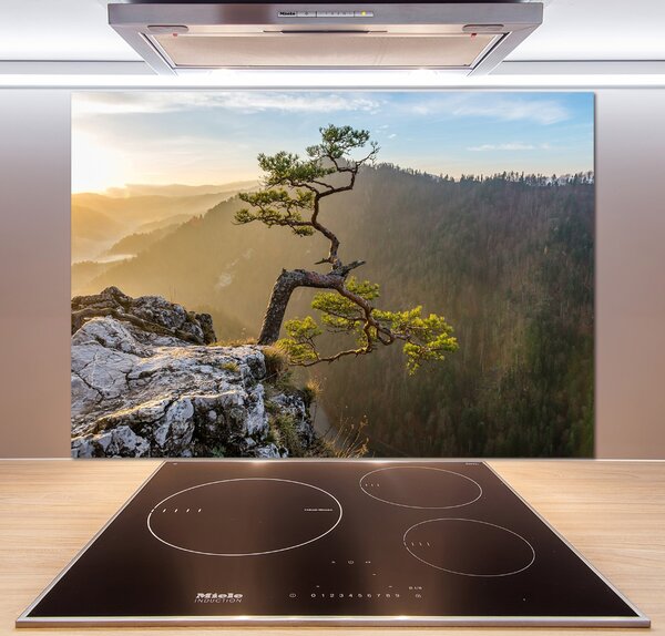 Panel do kuchyně Sokolice Pieniny pksh-73236563