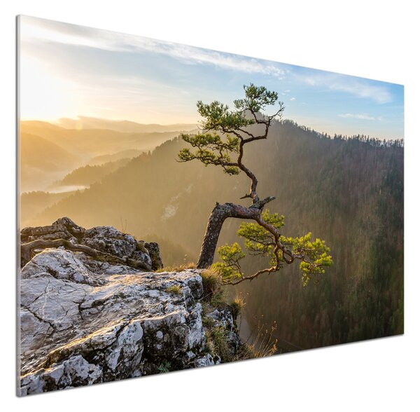 Panel do kuchyně Sokolice Pieniny pksh-73236563