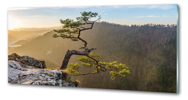 Panel do kuchyně Sokolice Pieniny pksh-73236563