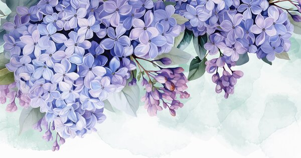 Fototapety Zářivé fialové květy hortenzie se zelenými listy, které vyplňují rám na měkkém, rozmazaném pozadí, Fototapety akvarel, w08223 : uwalls.cz