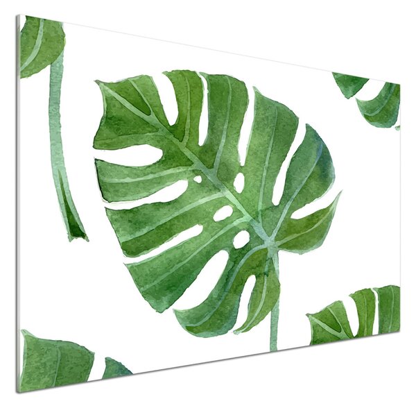 Skleněný panel do kuchynské linky Monstera pksh-73453998