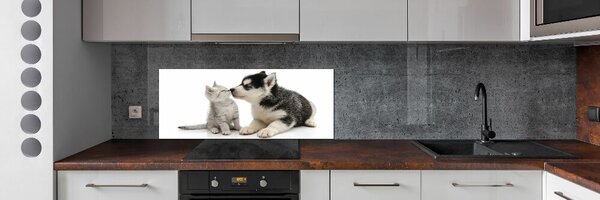Dekorační panel sklo Pes a kočka pksh-73561386