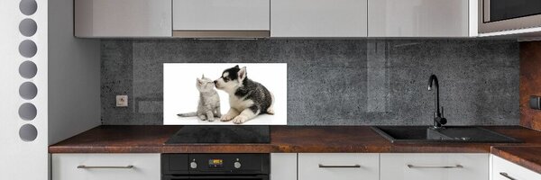 Dekorační panel sklo Pes a kočka pksh-73561386