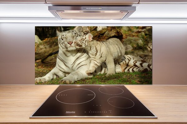 Skleněný panel do kuchyně Tygři pksh-73601237