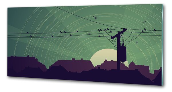 Dekorační panel sklo Ptáci město pksh-73778938
