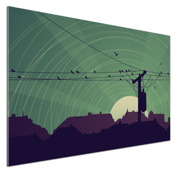 Dekorační panel sklo Ptáci město pksh-73778938