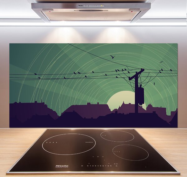 Dekorační panel sklo Ptáci město pksh-73778938