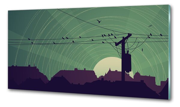 Dekorační panel sklo Ptáci město pksh-73778938