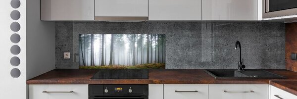 Dekorační panel sklo Mlha v lese pksh-74026356