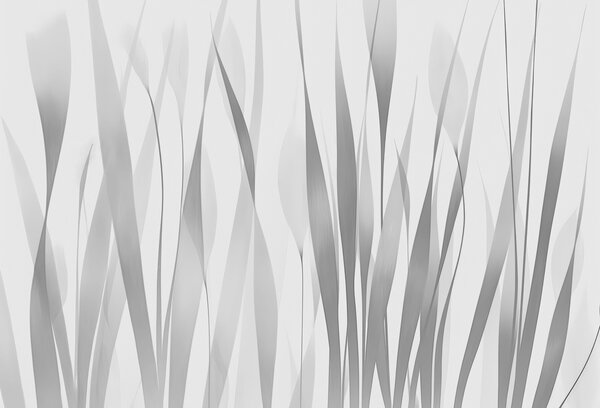 Fototapeta Šedobílý obraz rostlin, Designové fototapety na zeď, Populární fototapety, w01018v3 - Tapeko.co.cz