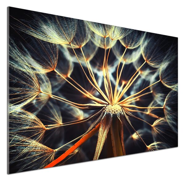 Skleněný panel do kuchynské linky Pampelišky pksh-75610368