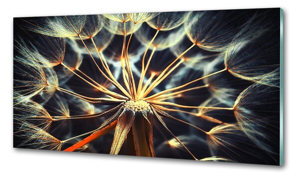 Skleněný panel do kuchynské linky Pampelišky pksh-75610368