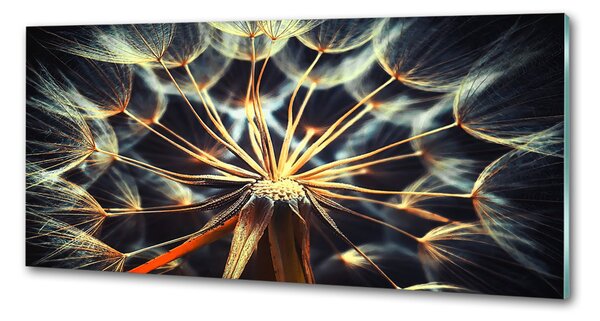 Skleněný panel do kuchynské linky Pampelišky pksh-75610368