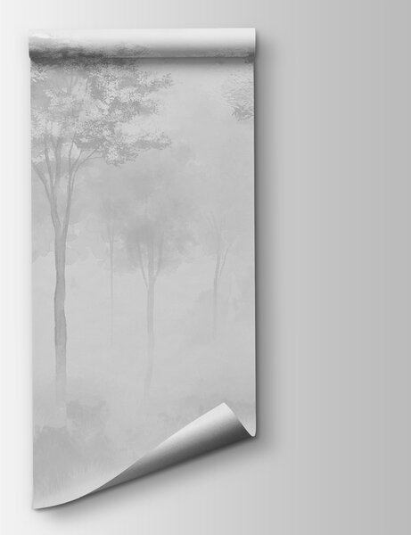 Fototapeta Skupina stromů v mlžném lese, Fototapety s mlžným lesem, Populární fototapety, w01599v5 - Tapeko.co.cz