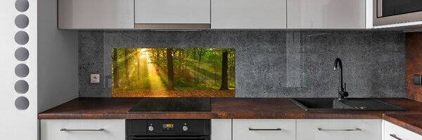 Dekorační panel sklo Les slunce pksh-75879040
