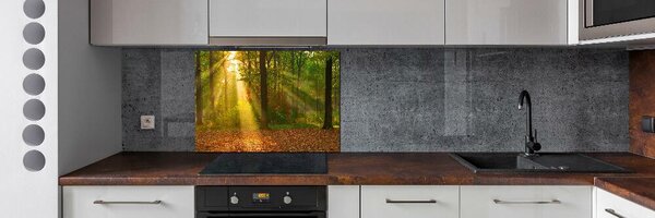 Dekorační panel sklo Les slunce pksh-75879040